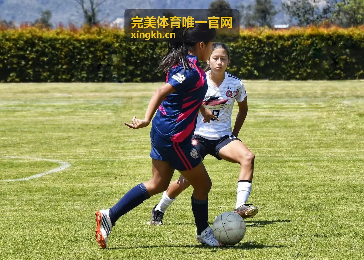 完美体育赛事检录与票务核销区域参考